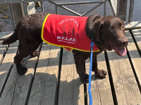 /album/fotogaleria%3a-%c2%bfquienes-somos/suchard-jpg/